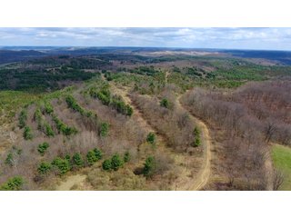 Property photo 40 - LAND AUCTION - 2,596+/- ACRES IN 28 TRACTS IN COSHOCTON & MUSKINGUM COUNTIES, OHIO